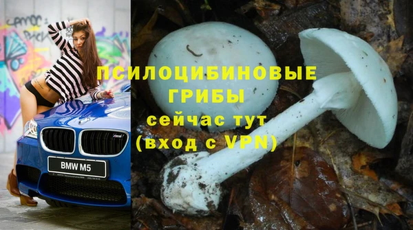 дурь Переславль-Залесский