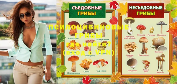 ГАЛЛЮЦИНОГЕННЫЕ ГРИБЫ Абдулино
