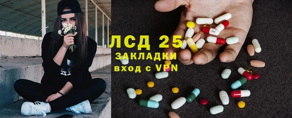 прущие грибы Пестово