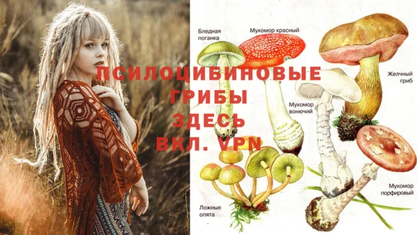 кокаин колумбия Пересвет